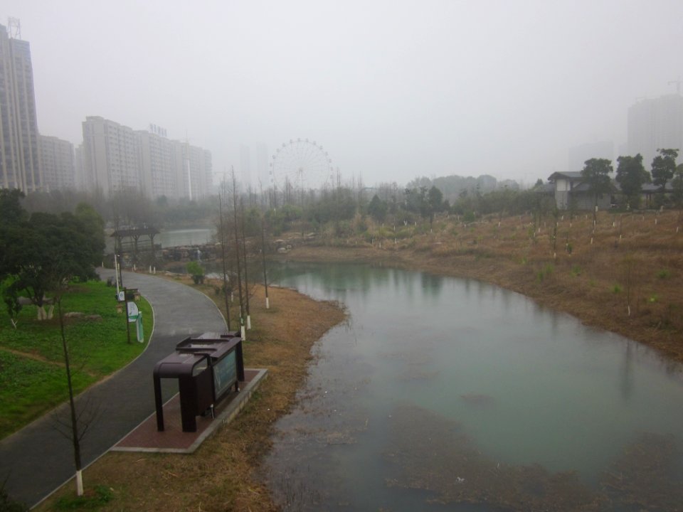 A_stream_in_Yanghu_Wet_Land,_picture1