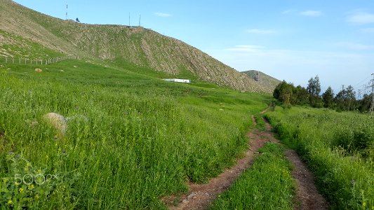 A_Way_In_Spring_(187011265)