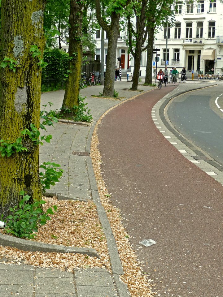 A_view_over_the_start_of_the_Plantage_Middenlaan_in_Amsterdam,_near_the_botanical_garden;_high_resolution_image_by_FotoDutch_in_June_2013