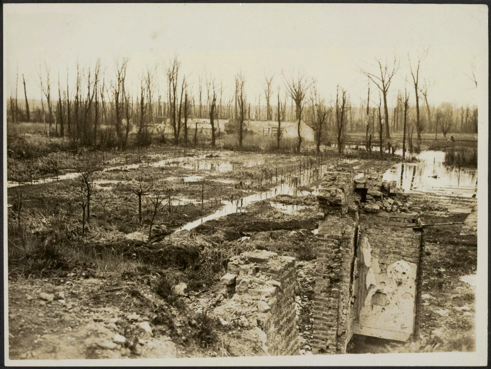 A_shell_shattered_landscape_near_our_frontline.,_Bestanddeelnr_158-1859