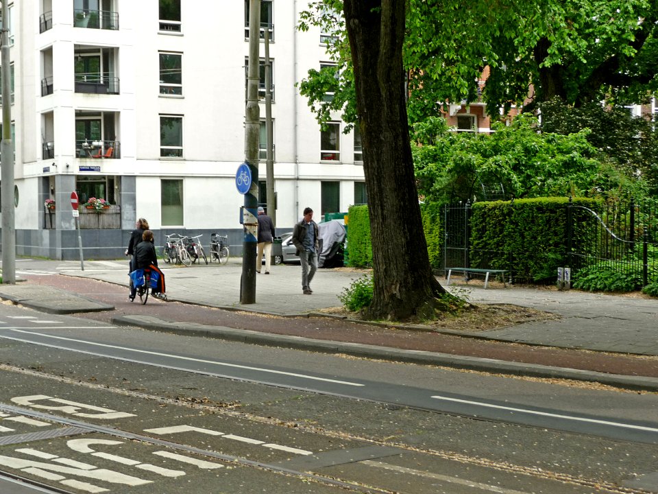 A_view_over_the_corner_of_Plantage_Middenlaan_-_Plantage_Parklaan_in_Amsterdam;