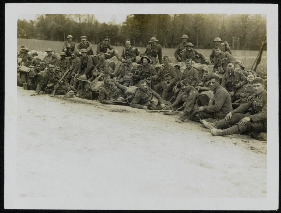 A_few_Shropshires_resting_on_the_roadside,_Bestanddeelnr_158-0164