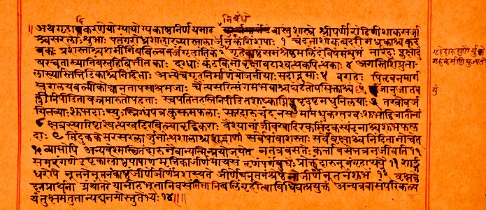A_folio_from_minor_Vastu_sastra_manuscript,_home_design_and_decoration,_Sanskrit_language,_Devanagari_script