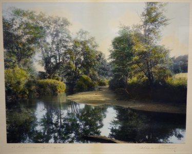 A_Summer_Stream_by_Wallace_Nutting,_c._1915,_hand-colored_silver_photograph_-_Fitchburg_Art_Museum_-_DSC08940