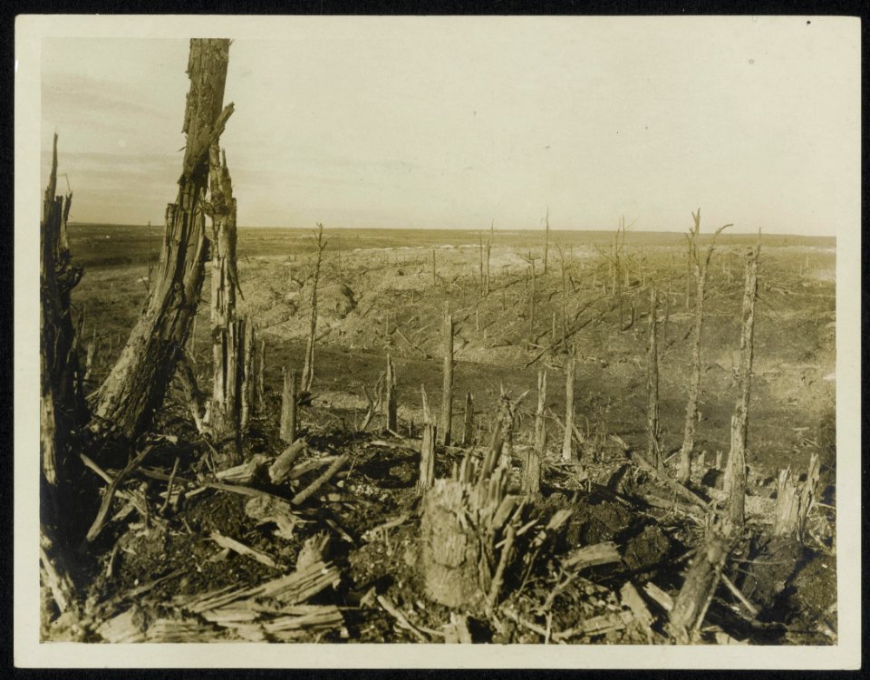 A_flourishing_village_once_stood_on_Yonder_Hill,_view_of_Beaumont_Hamel,_Bestanddeelnr_158-0389