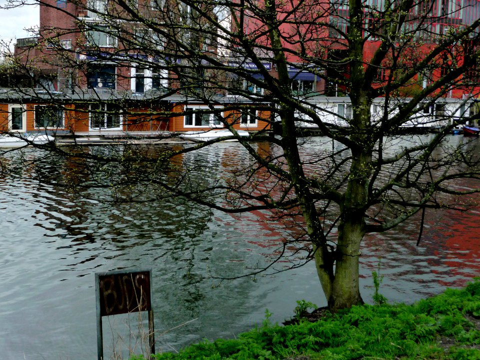A_view_through_an_urban_tree_on_modern_houseboats_in_the_Lozingskanaal_in_Amsterdam-Oost,_FotoDutch,_april_2013