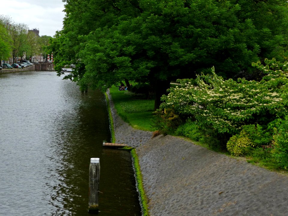 A_view_over_the_Nieuwe_Herengracht_canal_in_Amsterdam_with_the_border_of_the_Wertheim_park;_high_resolution_image_by_FotoDutch_in_June_2013