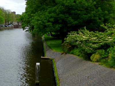 A_view_over_the_Nieuwe_Herengracht_canal_in_Amsterdam_with_the_border_of_the_Wertheim_park;_high_resolution_image_by_FotoDutch_in_June_2013 photo