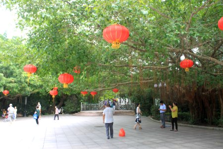 A_huge_banyan_tree_in_the_East_Lake_Park1