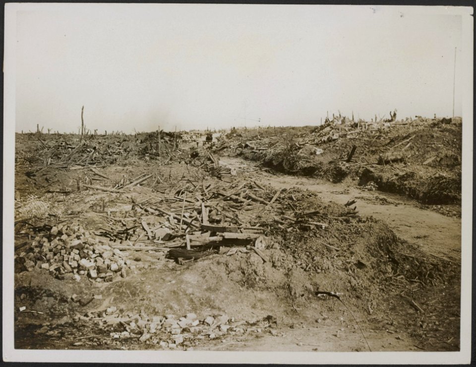 A_scene_of_desolation_-_once_a_village,_Bestanddeelnr_158-2765