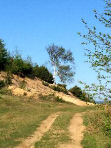 A_road_near_Nekrasovka._Sakhalin