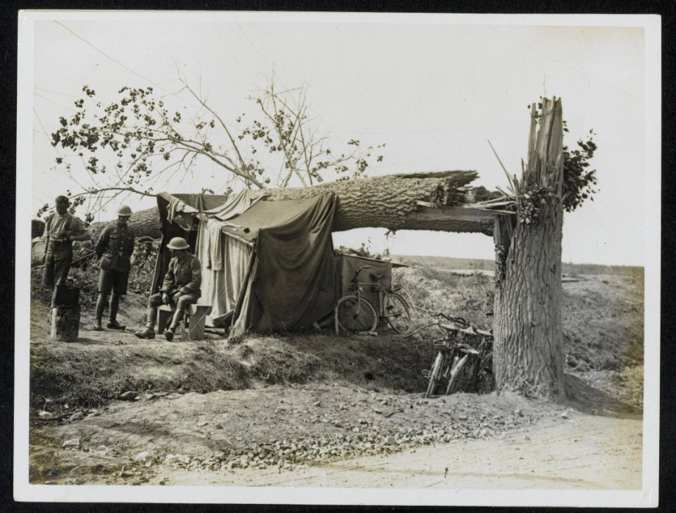 A_tree_knocked_down_by_shell_fire,_Bestanddeelnr_158-0899