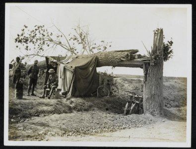 A_tree_knocked_down_by_shell_fire,_Bestanddeelnr_158-0899