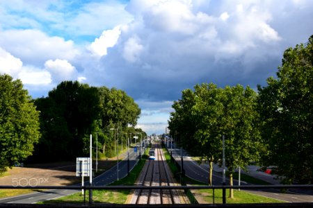 A_Tram_Line_(181672215)