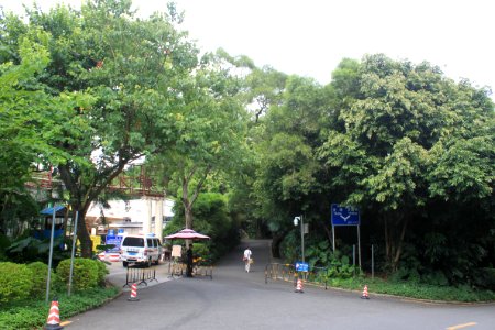 A_road_of_East_Lake_Park