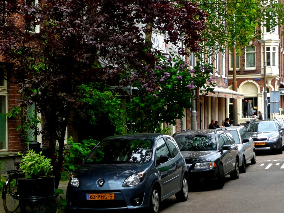 A_picture_in_spring_of_trees_and_houses_in_the_Plantage_Muidergracht_in_Amsterdam;_high_resolution_image_by_FotoDutch_in_June_2013