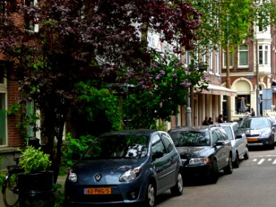 A_picture_in_spring_of_trees_and_houses_in_the_Plantage_Muidergracht_in_Amsterdam;_high_resolution_image_by_FotoDutch_in_June_2013 photo
