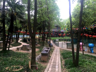 A_path_in_Guangming_Butterfly_Valley