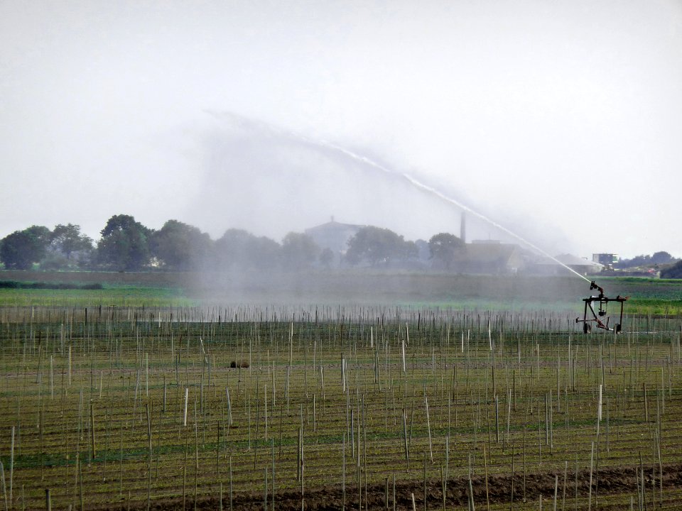 A_photo_of_a_water-sprayer_in_the_fields_near_Oranje_in_dry_spring;_Midden_Drenthe,_Netherlands,_2012