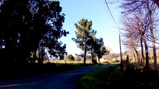 A_Pedreira_Sedes_Narón_A_Coruña