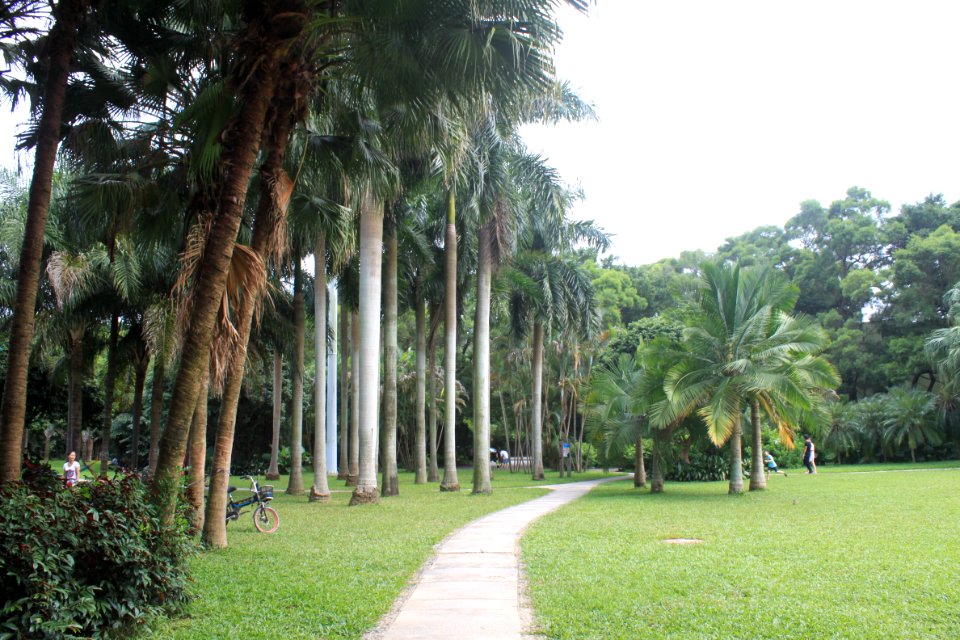 A_path_of_East_Lake_Park2