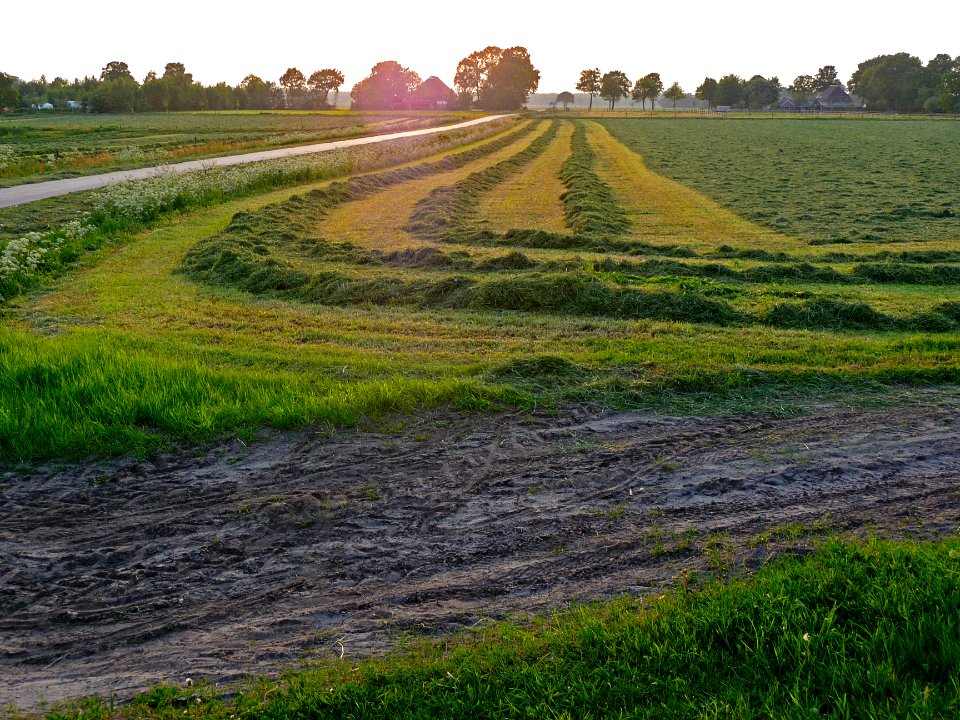 A_photo_of_evening_sunset_over_the_grass_fields_in_Laaghalerveen;_Drenthe,_2012