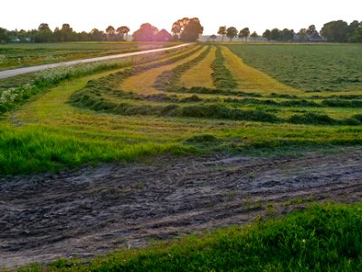 A_photo_of_evening_sunset_over_the_grass_fields_in_Laaghalerveen;_Drenthe,_2012 photo