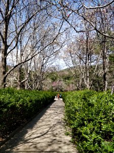 A_path_in_Beijing_Botanical_Garden