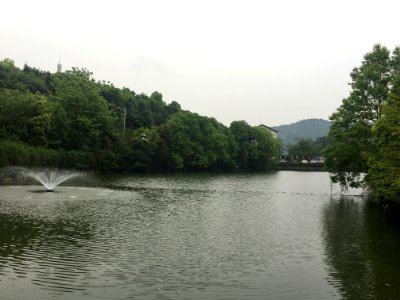 A_pond_in_Guangming_Butterfly_Valley,_picture2