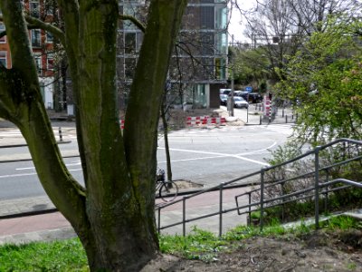 A_photo_of_a_urban_tree_and_a_view_over_de_Zeeburgerdijk_and_Celebesstraat;_Amsterdam_Oost-_FotoDutch,_April_2013 photo