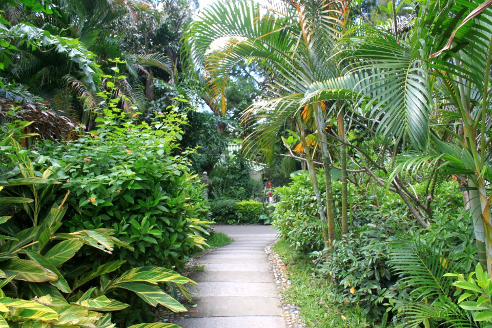 A_path_of_East_Lake_Park1