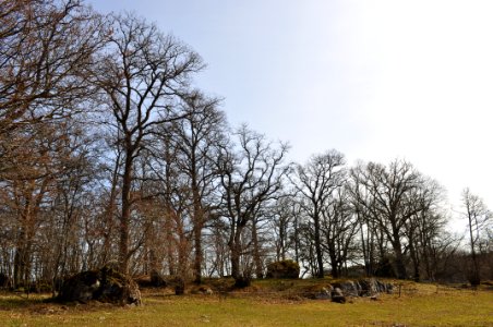 Ängbacken_2