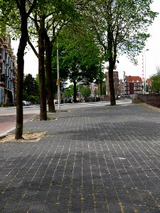 A_photo_of_trees_on_the_wide_walking_path_along_the_quay_of_Prins_Hendrikkade_in_Amsterdam;_high_resolution_image_by_FotoDutch,_June_2013 photo