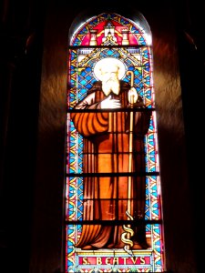 Église_de_Candé-sur-Beuvron,_vitrail_09