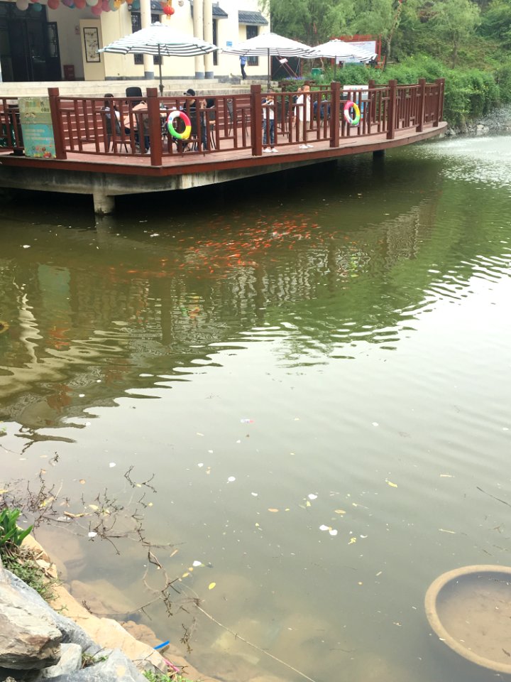 A_pond_in_Guangming_Butterfly_Valley