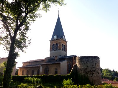 Église_Sainte-Madeleine_de_Genay_-_Vue_depuis_le_parc_de_Rancé photo
