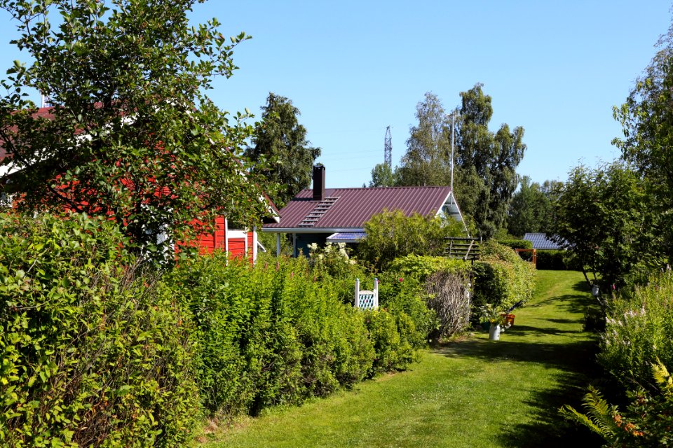 Äimäraution_siirtolapuutarha_Oulu_20190721_05