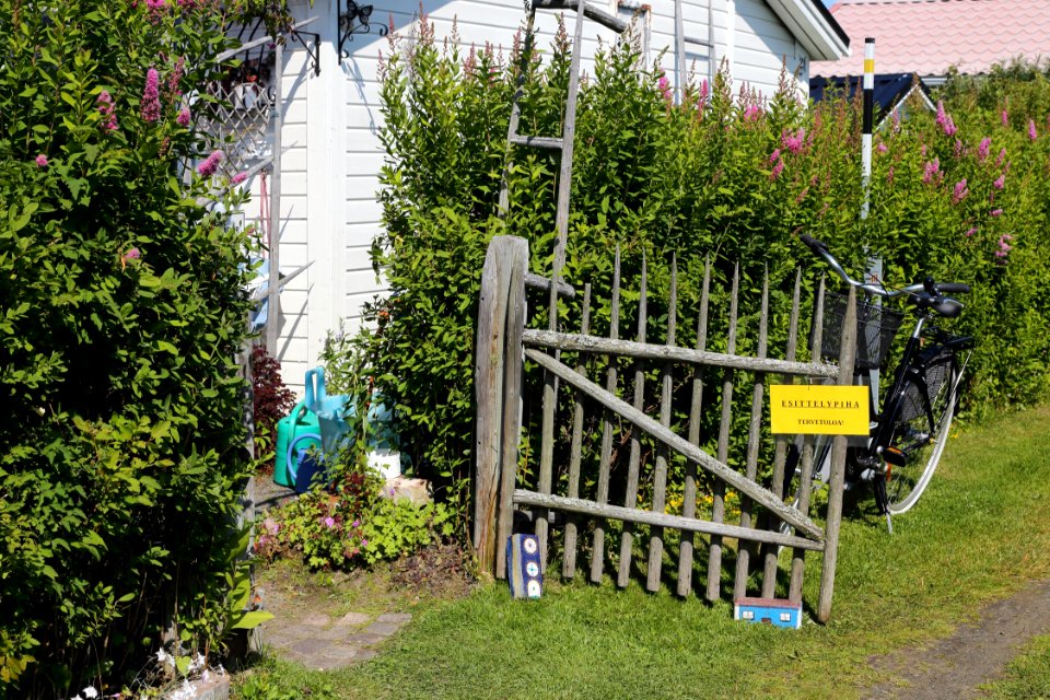Äimäraution_siirtolapuutarha_Oulu_20190721_07