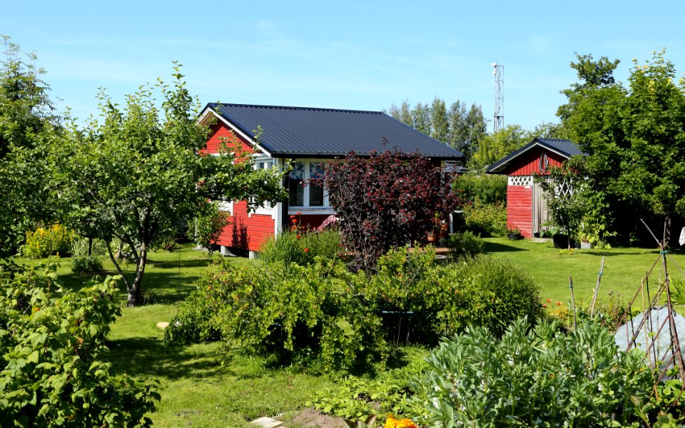 Äimäraution_siirtolapuutarha_Oulu_20190721_03