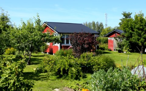 Äimäraution_siirtolapuutarha_Oulu_20190721_03