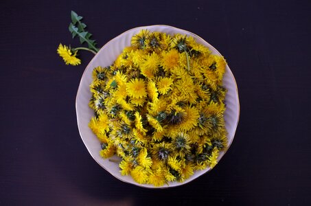 Salad flowers recipe