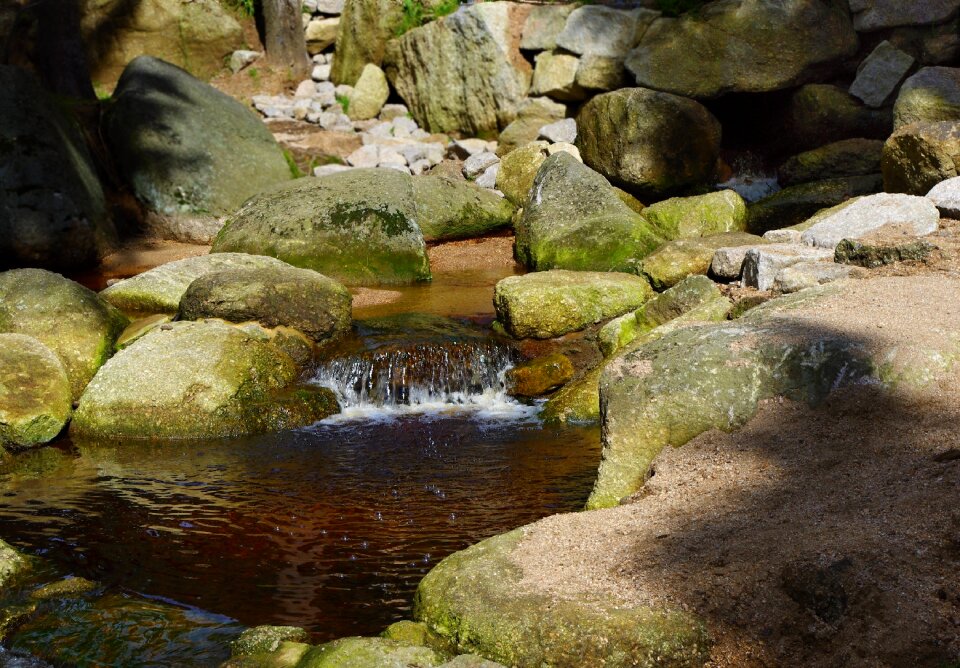 Stones forest creek bed