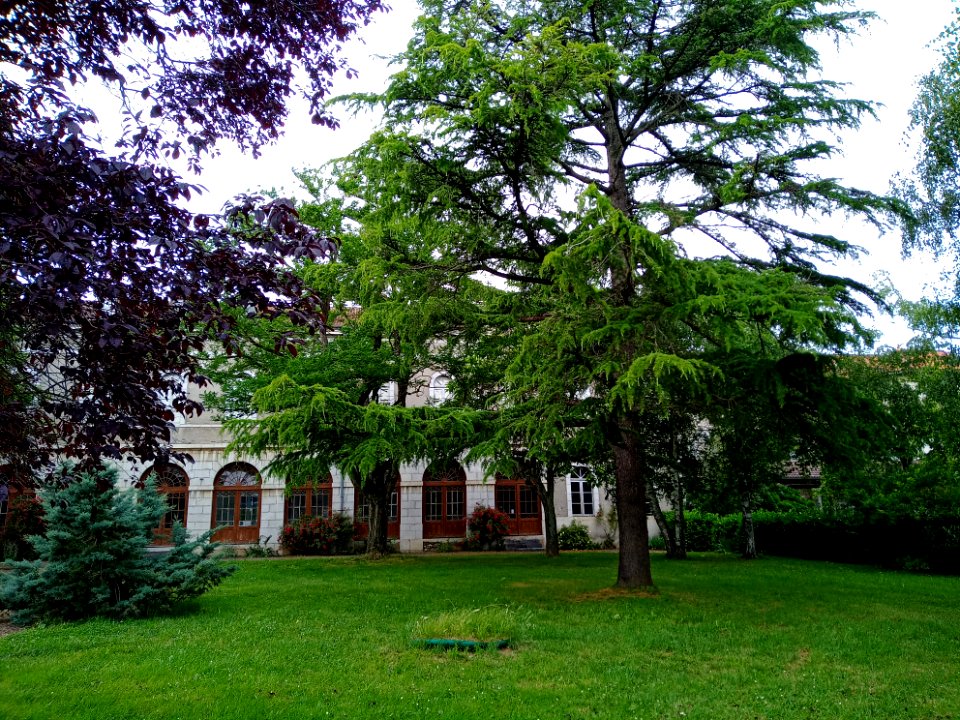 École_Sainte-Germaine_de_Montréjeau_03