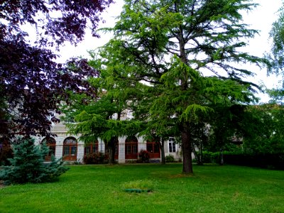 École_Sainte-Germaine_de_Montréjeau_03