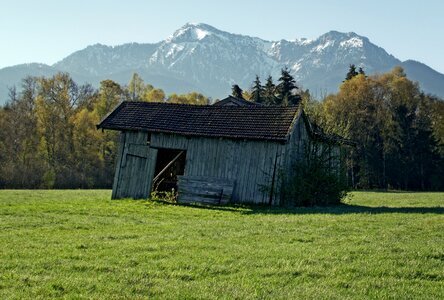 Nature field meadow photo