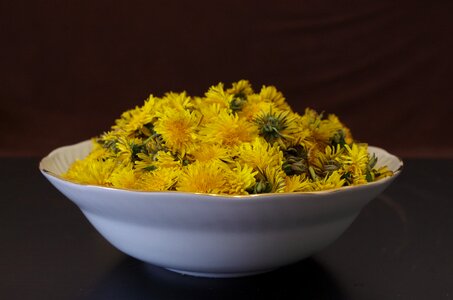 Salad flowers recipe