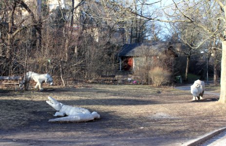 Årsta_Zoo_2012a