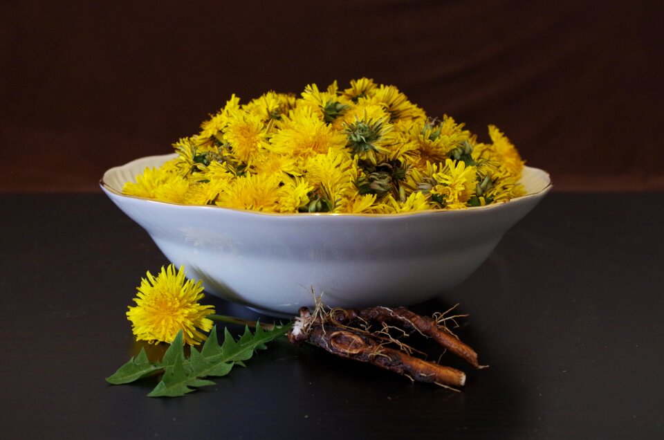 Flowers recipe the root of the