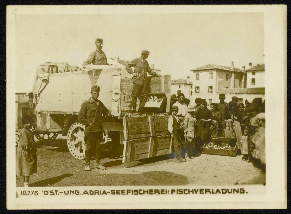 Öst.-Ung._Adria-Seefischerei_Fischverladung.,_Bestanddeelnr_158-1600