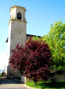 Añua_-_Iglesia_de_la_Natividad_de_Nuestra_Señora_15